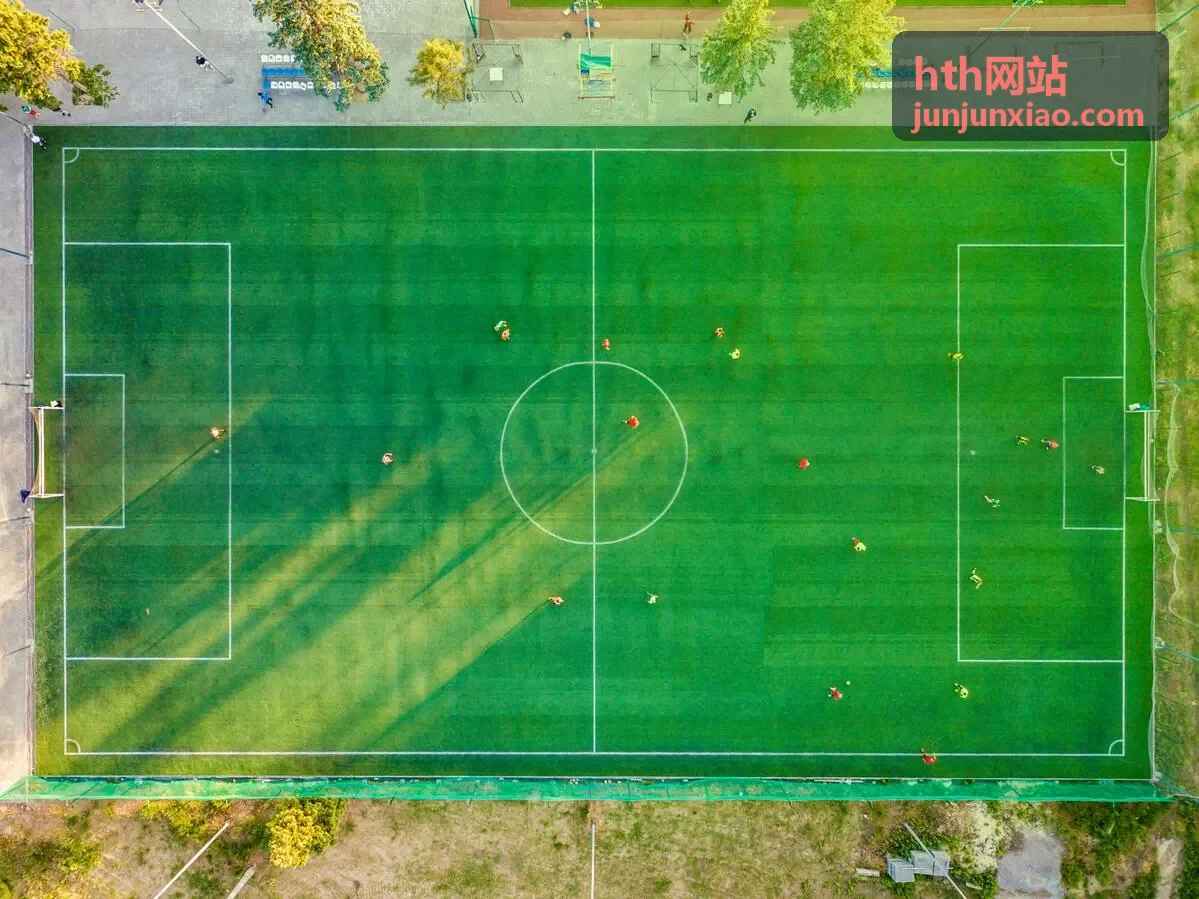 hth网站数据备份与故障应急处理示意图