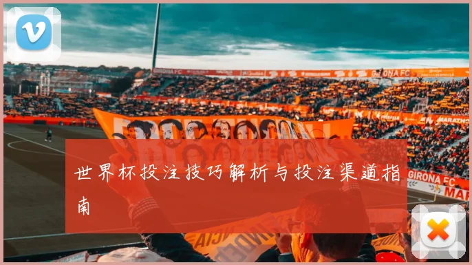 世界杯投注技巧解析与投注渠道指南